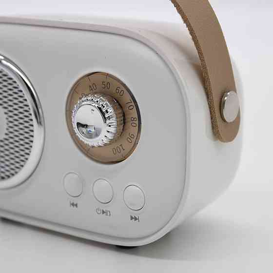 Колонка для караоке з мікрофоном на акумуляторі, Білий / Блютуз колонка з мікрофоном / Караоке колонка Київ