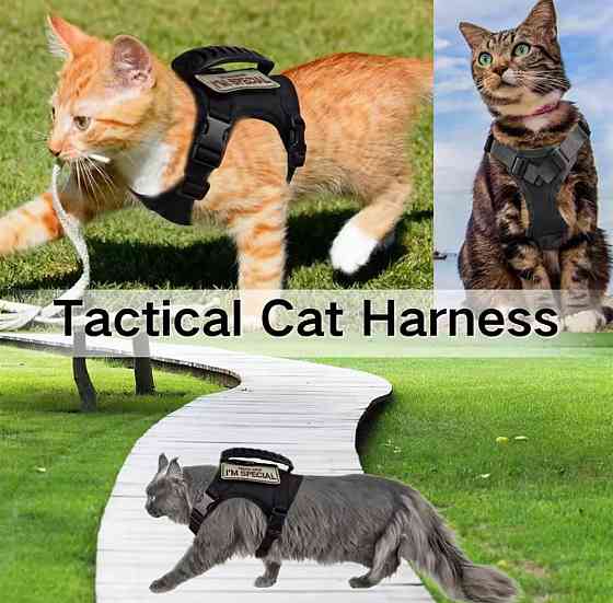 Шлея для котів та собак One Size чорний Київ