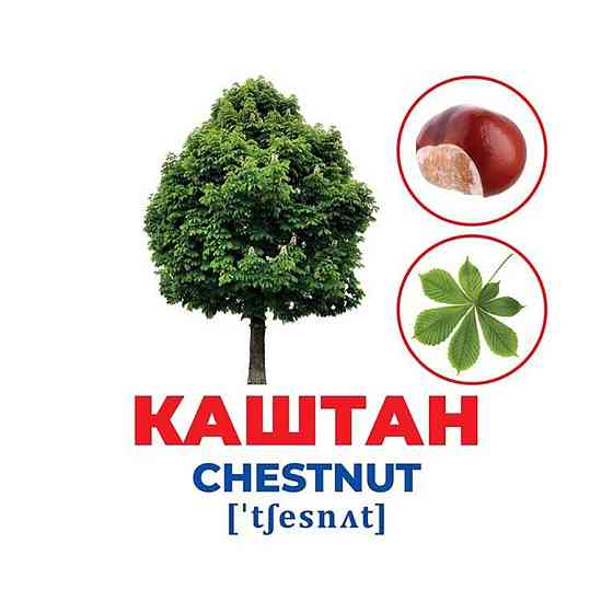 Набір розвиваючих карток Геній з пелюшок Дерева та чагарники 10107196, 17 карток Вінниця