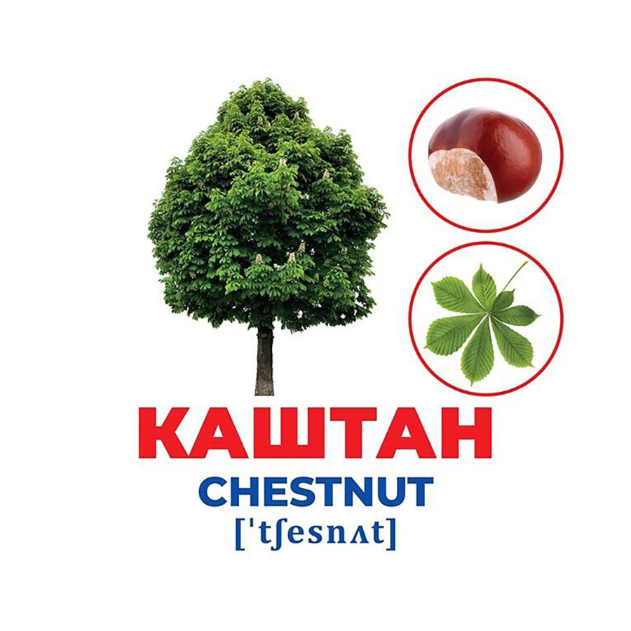 Набір розвиваючих карток Геній з пелюшок Дерева та чагарники 10107196, 17 карток Вінниця - фото 2