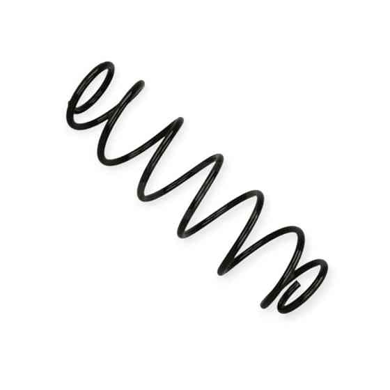 Пружина Renault Laguna II универсал задняя Мукачево