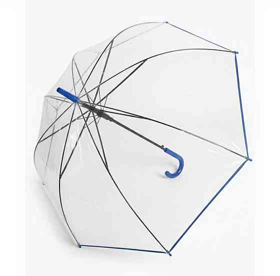 Зонт женский прозрачный тростник с синей каймой Киев