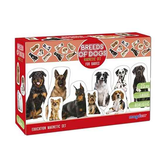 Детский развивающий набор магнитов 