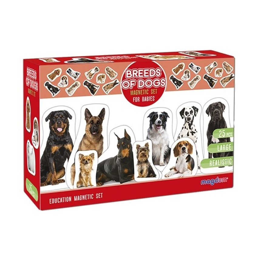 Дитячий розвиваючий набір магнітів "Породи собак" ML4031-20EN 24 фотомагніти Вінниця - фото 1