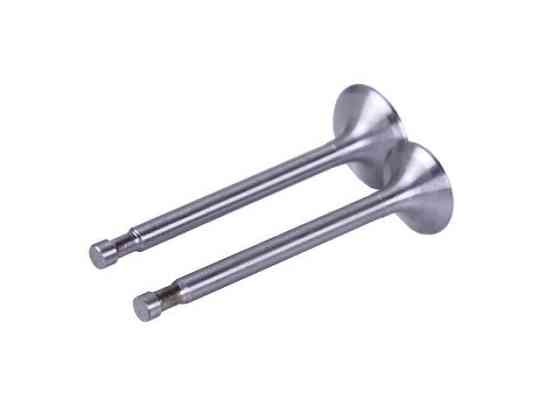 Клапаны на дизельный двигатель 180N, диаметр 7 мм, пара Мукачево