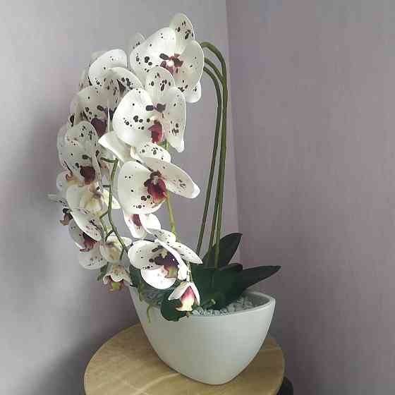 Штучна латексна орхідея VIP в керамічному кашпо на три гілки біла з бордовою крапкою. Дніпро