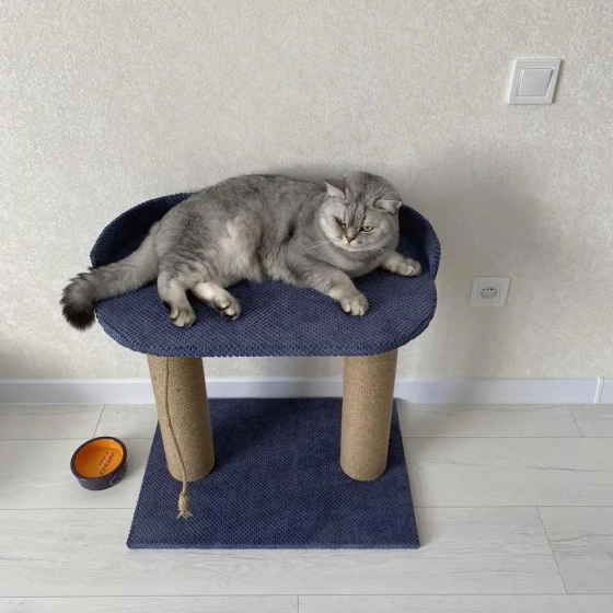 Кігтеточка з великою лежанкою для кішок, дряпка для котів 61×60×40 см Київ