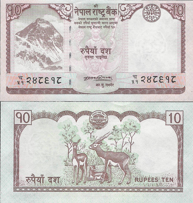Непал / Nepal 10 Rupees (2008) Pick 61 UNC Полтава - фото 1