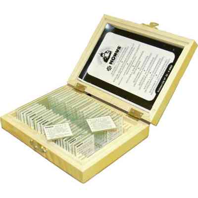 Набор микропрепаратов Konus Ботаніка Мохи, папоротеві, голонасінні 25 шт (4983) Винница