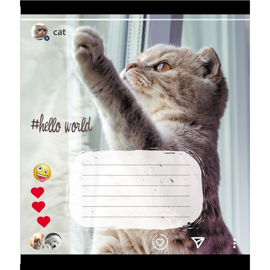 Зошит учнівський "Кішка" 024-550351K-3 в клітинку, 24 аркуші Вінниця - фото 1