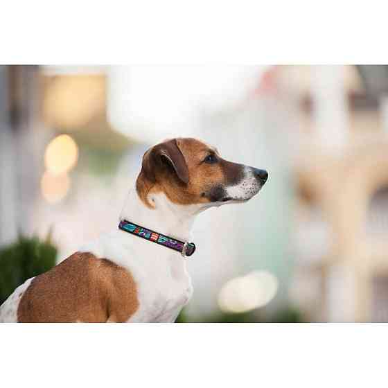 Нашийник для собак шкіряний WAUDOG Design з QR паспортом, малюнок "Літо", XS, Ш 12 мм, Дов 20-2 Коломия