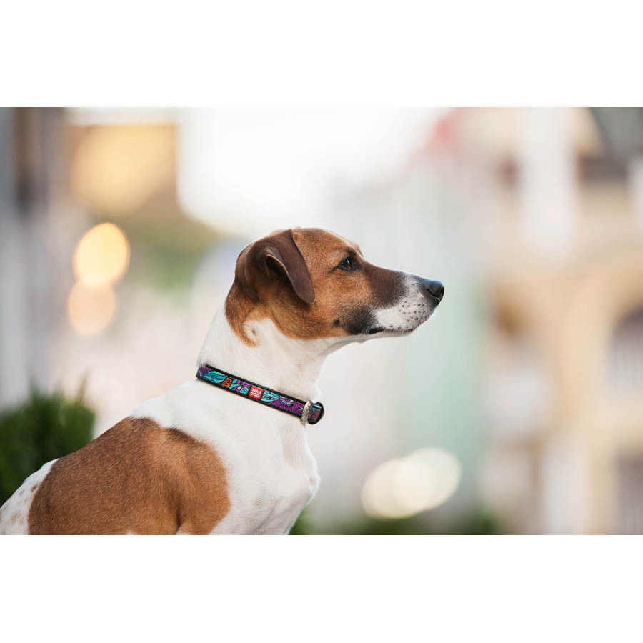 Нашийник для собак шкіряний WAUDOG Design з QR паспортом, малюнок "Літо", XS, Ш 12 мм, Дов 20-2 Коломия - фото 5