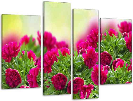 Модульная картина Пионы Art-172_4 Киев