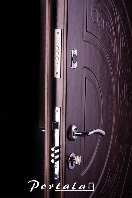 Двери уличные, серия Элегант, модель Рассвет, гнутый профиль, 2 контура уплотнения, 2 замка 850 Киев - изображение 2