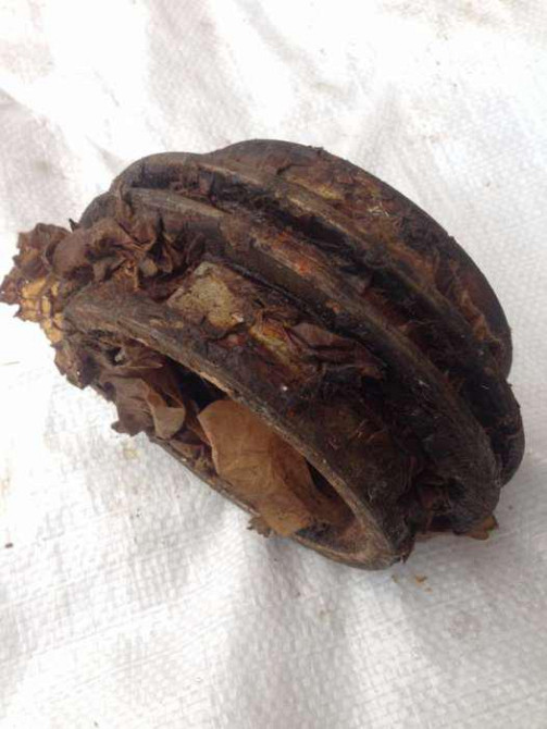 Синхронізатор малий 4/5 передавання Урал-375. 375-1701151-А Харків - фото 2