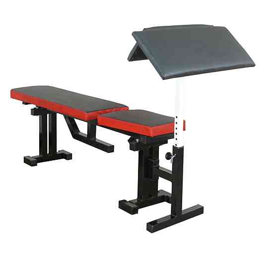 Скамья для жима горизонтальная регулируемая с партой Скотта Стойки, скамьи для жима и приседаний без стоек Киев