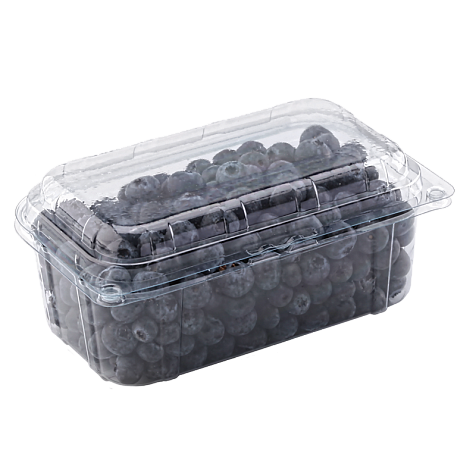 Пластиковый судок ПЭТ для упаковки ягод 500 грамм TL1 с крышкой Павлоград - изображение 1