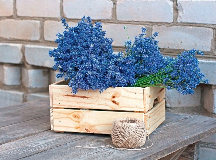 Электрический Степлер сетевой ручной со скобами и гвоздями Parkside (РНЕТ 15 С2) Нововолынск - изображение 9