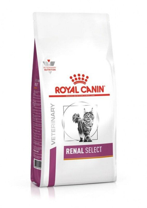 Royal Canin Renal Select Feline (Рояв Канін Ренал Селект Фелін) корм для кішок з нирковою недостатністю 4 кг. Запоріжжя - фото 1