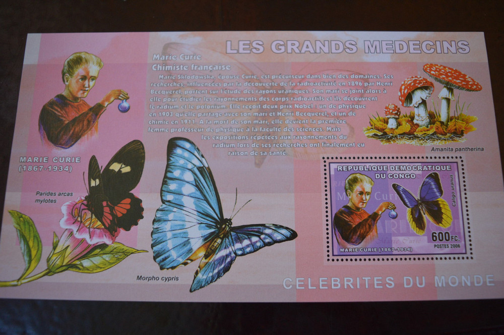 Коно. Марки. История и Личности . Блок. 2006 год (А-23) Полтава - изображение 1