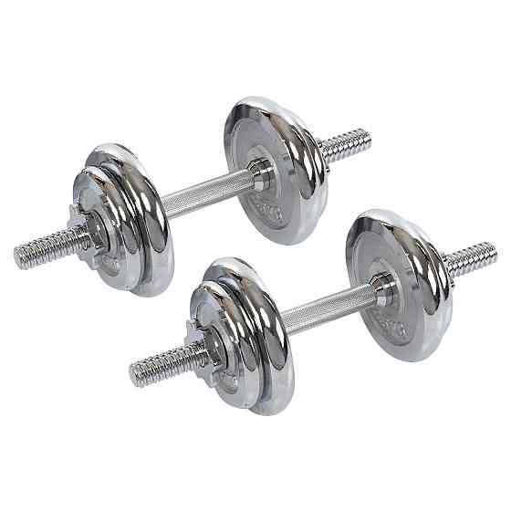 Набір гантелей зі штангою 3в1 у пластиковому кейсі 30 кг Zelart 9639 Київ