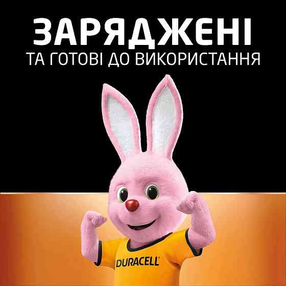 Аккумуляторы Duracell AA 1300 mAh, 2 шт. (6410548) Киев