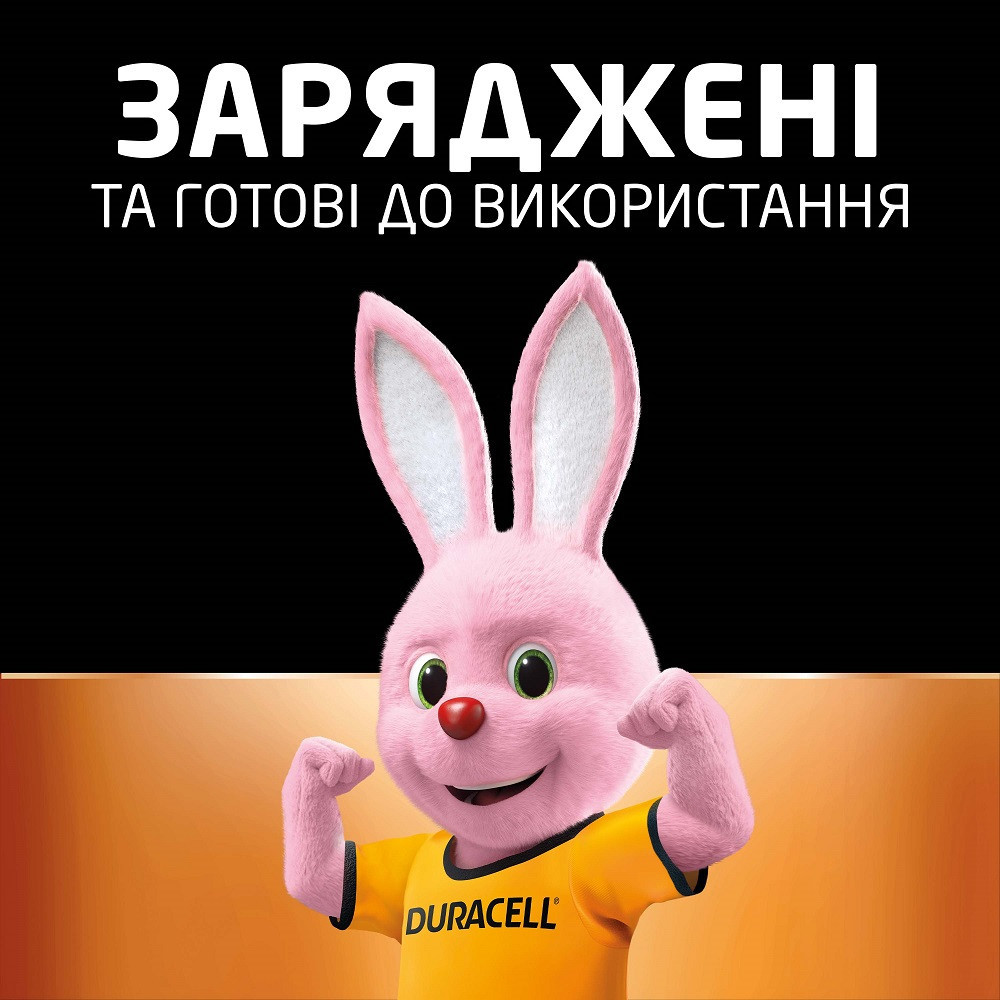 Аккумуляторы Duracell AA 1300 mAh, 2 шт. (6410548) Киев - изображение 4