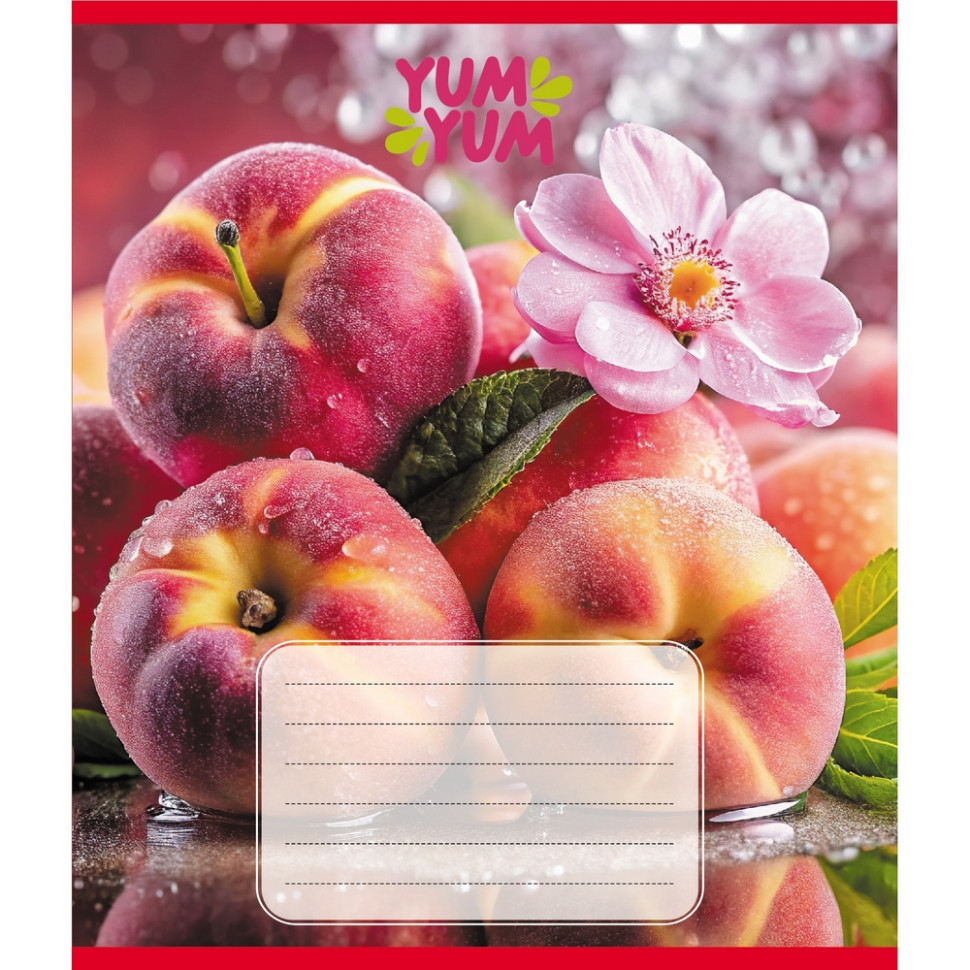 Зошит учнівський "Фрукти" 036-580143L-1 в лінію, 36 аркушів Вінниця - фото 1