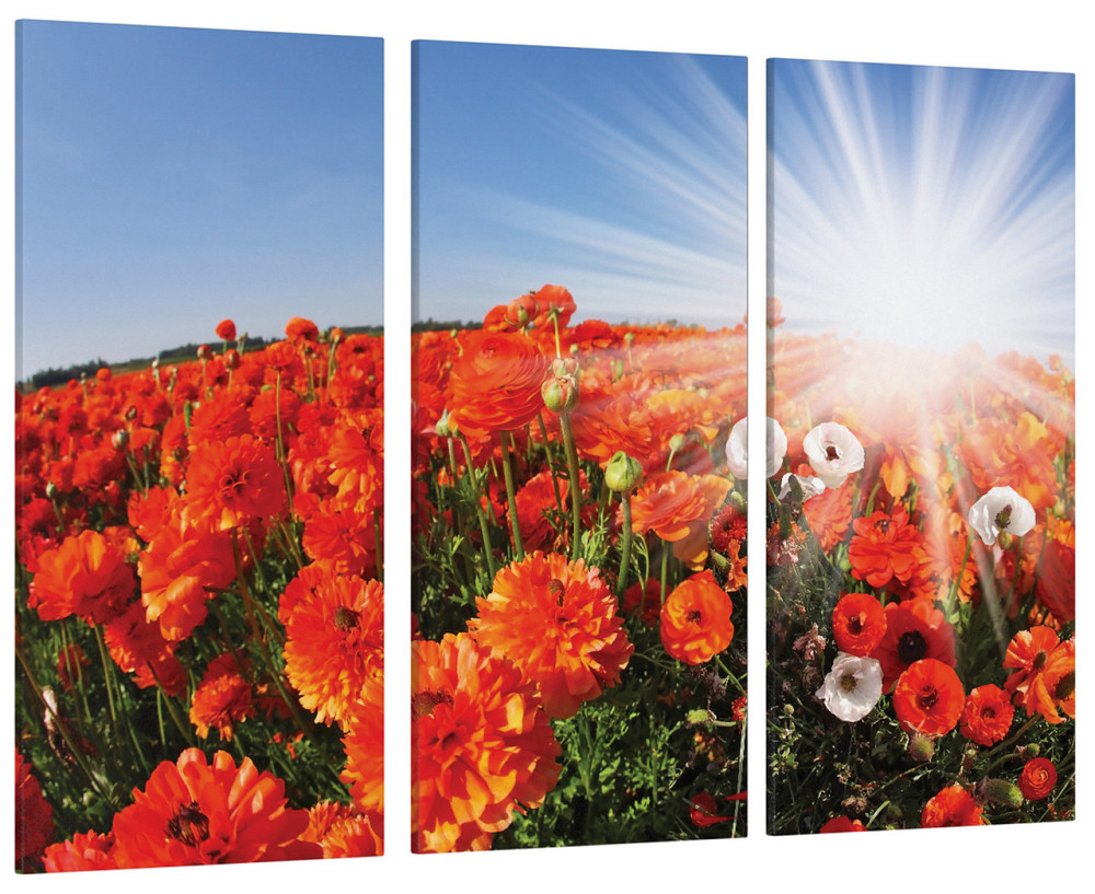 Модульная картина Поле Маки Art-19_XXL 70x130 см Киев - изображение 1