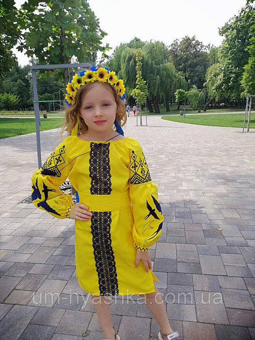 Дитяча вишита сукня з ластівками 104-152 Кривой Рог - изображение 9