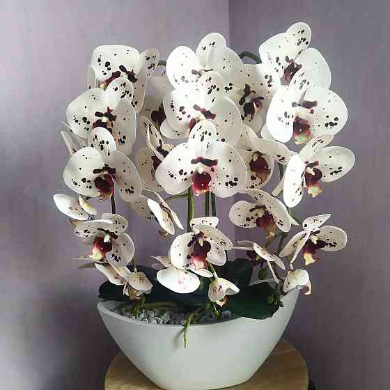 Штучна латексна орхідея VIP в керамічному кашпо на три гілки біла з бордовою крапкою. Дніпро