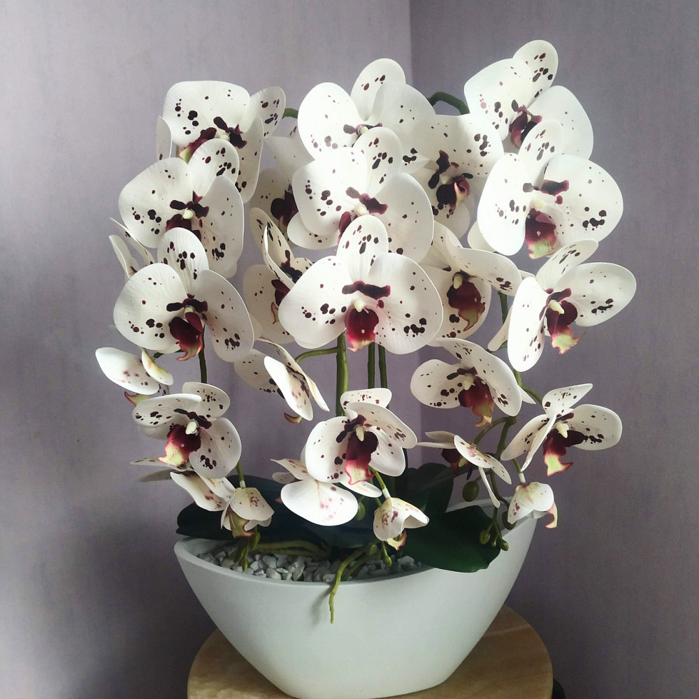 Штучна латексна орхідея VIP в керамічному кашпо на три гілки біла з бордовою крапкою. Дніпро - фото 2