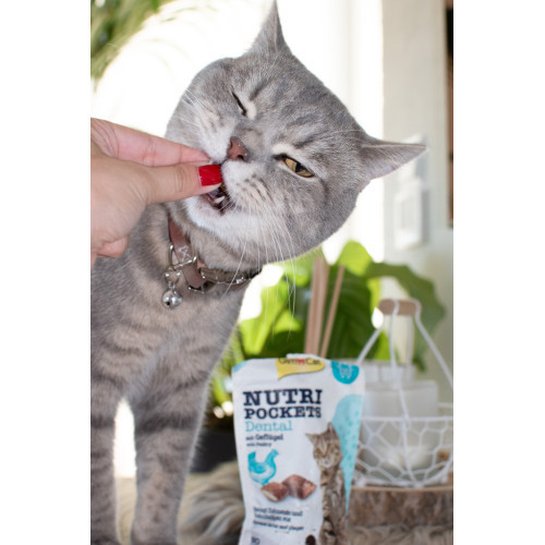 Витаменное лакомство GimCat Nutri Pockets Dental для кошек для зубов 60 г Киев - изображение 3