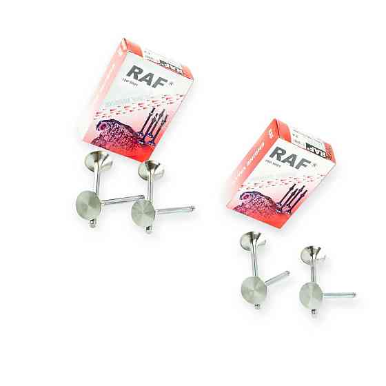 Клапан (випускний) малий (raf sport) камаз Мукачево