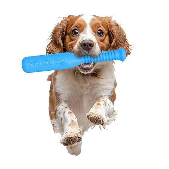 Ігрова бита для апортировки PitchDog, довжина 35 см, діаметр 6 см блакитний Київ