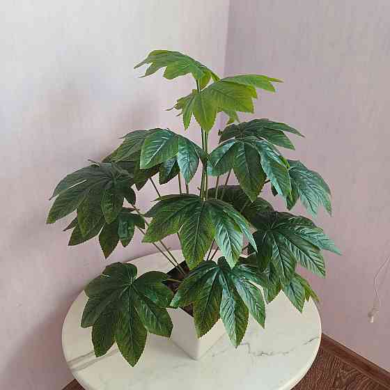 Штучний кущ Фатсіі із латексу Дніпро