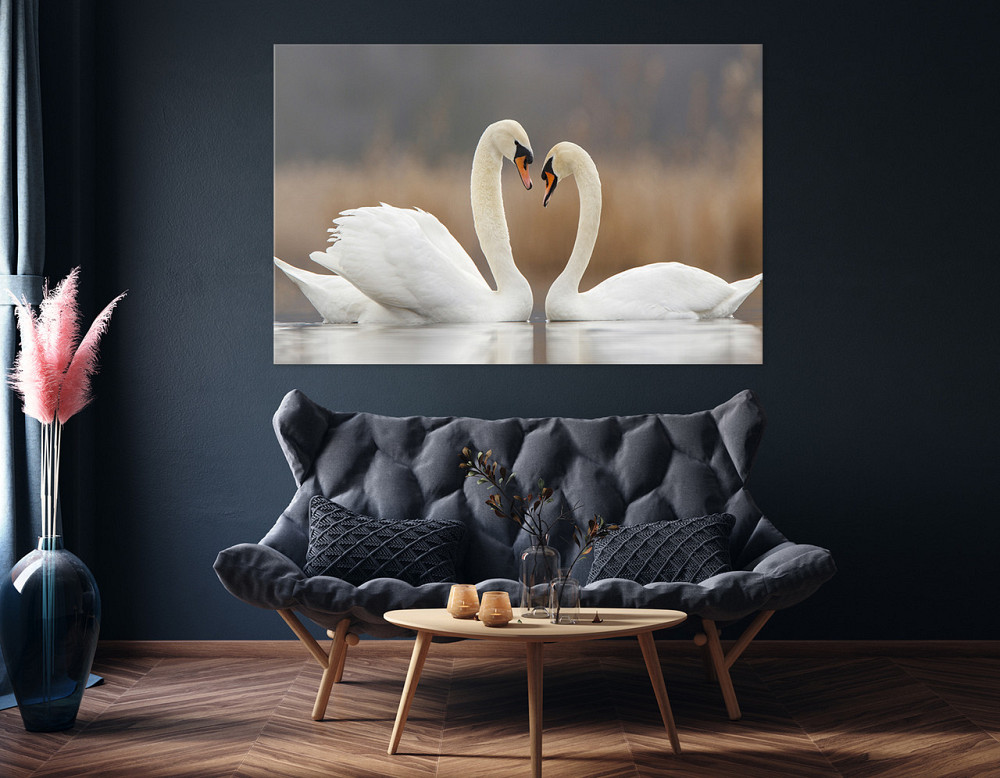 Картина холст в гостиную / спальню  Пара Лебедів       MLP_8 60x100 см Киев - изображение 4
