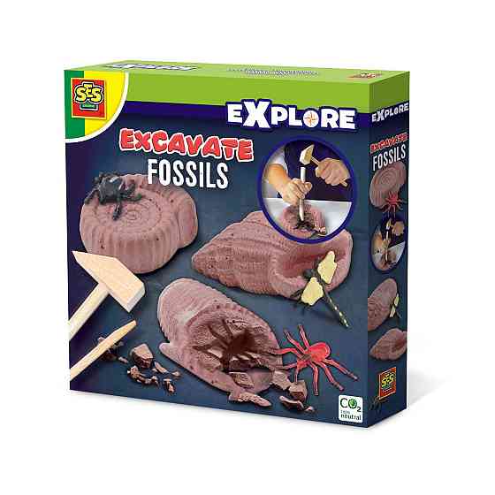 Набір серії Дослідник - Розкопки скам'янілих комах Дніпро