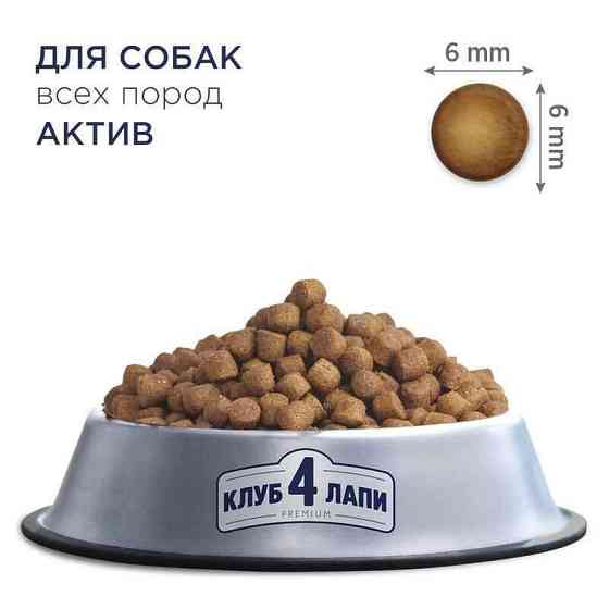 Club 4 Paws (Полуб 4 Лапи) Premium Active Adult All Breeds Chicken сухий корм із куркою для активних собак 14 кг Запоріжжя