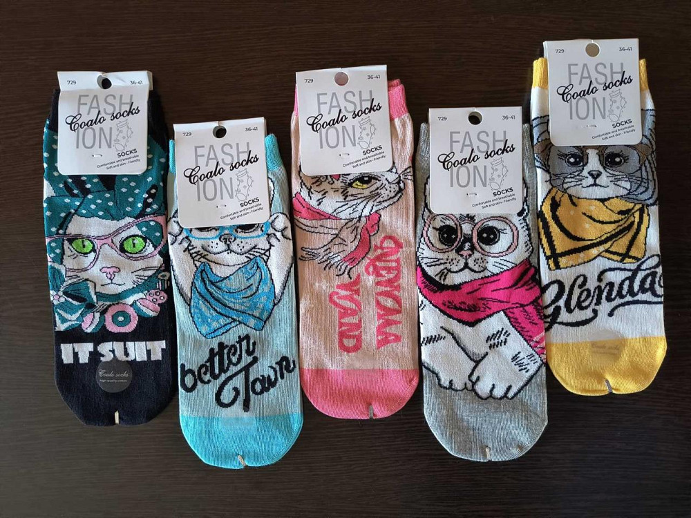 Носки женские с котятами. В наборе из 5шт. Яркие женские носки с приколами. Coalo socks. Размер 36-41 Киев - изображение 1