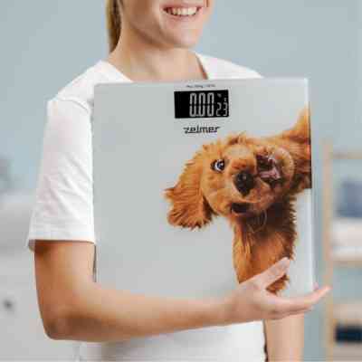 Ваги підлогові Zelmer ZBS1010 Вінниця