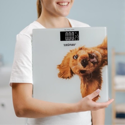 Ваги підлогові Zelmer ZBS1010 Вінниця - фото 6