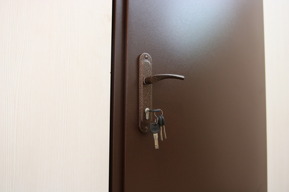 Двери металлические технические в  наличии, Redfort Техническая 2 листа металла, Ral 8017 Киев - изображение 8