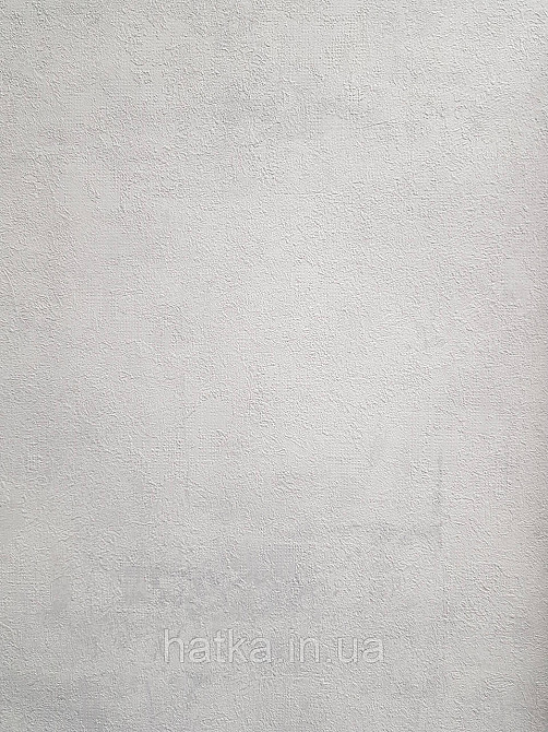 Шпалери вінілові на флізеліні A.S.Creation Sylvana 1.06x10 під штукатурку під бетон світло-сірий 79139-3 Київ - фото 2