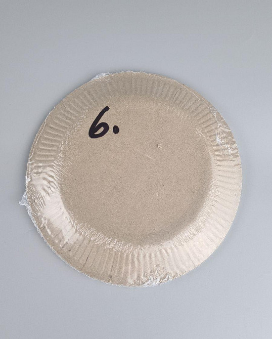 Паперова тарілка з малюнком 18 см "No 6" Весняний візерунок 10 шт (1 пачка) Харків - фото 3