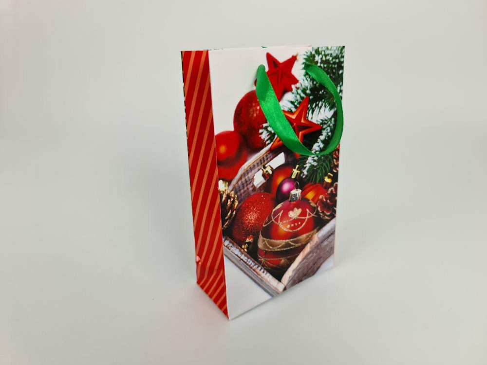 Пакеты новогодние ,бумажные ,подарочные , Малый 11/18/5  - -024 (12 шт) Харьков - изображение 2