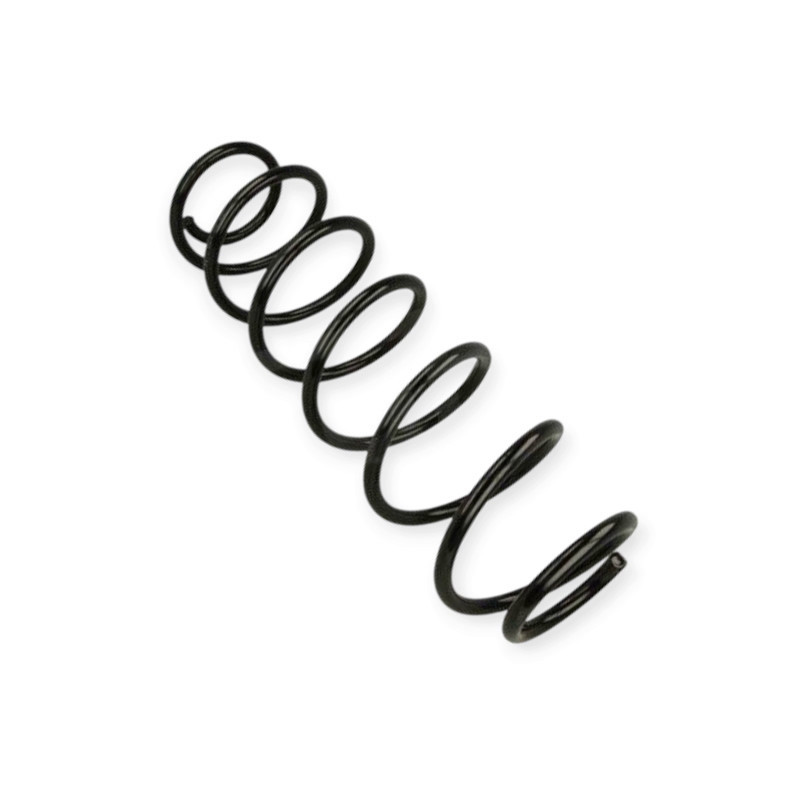 Пружина Renault Laguna II 01-HD Мукачево - фото 1