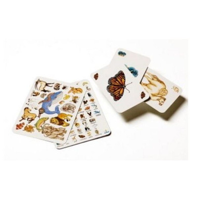 Настольная игра Djeco Занималка (Zanimatch) (DJ05153) Винница - изображение 3