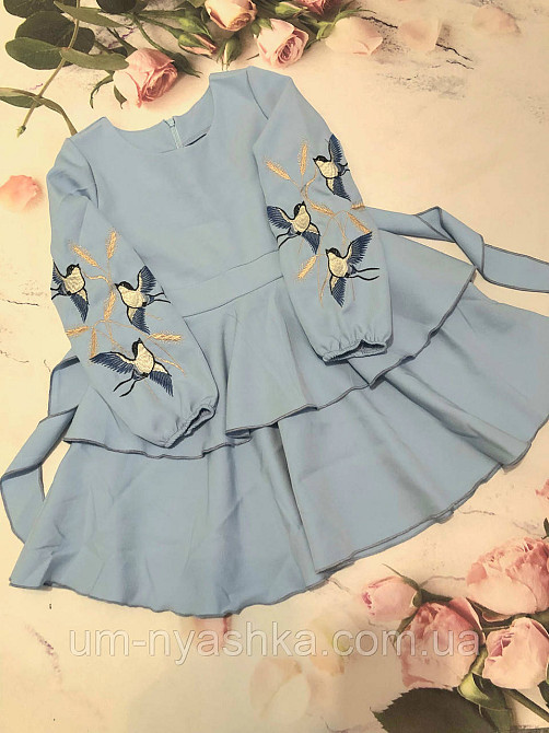 Дитяче плаття з вишивкою на рукавах Поділля-ластівки Кривий Ріг - фото 10