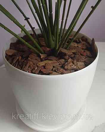 Штучний кущ монстери  із латексу Дніпро